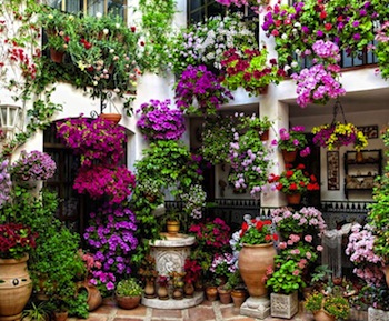 festival-de-los-patios-cordobeses-cordoba