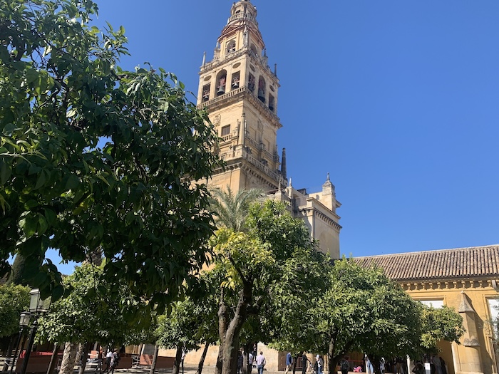 cruces-de-mayo-cordoba