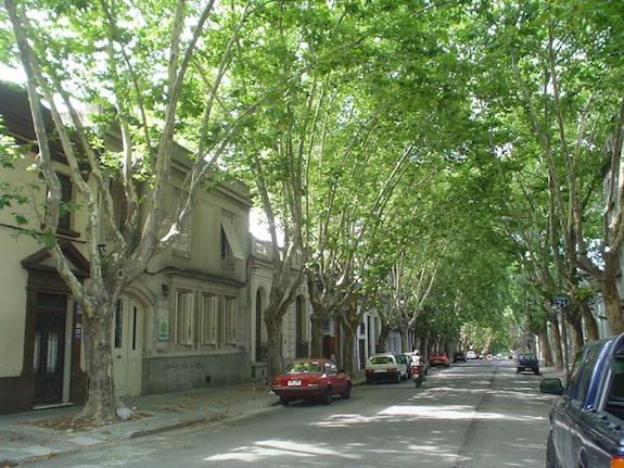 Taalschool La Herradura in Montevideo