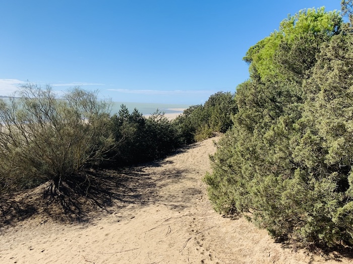 romeria-del-rocio